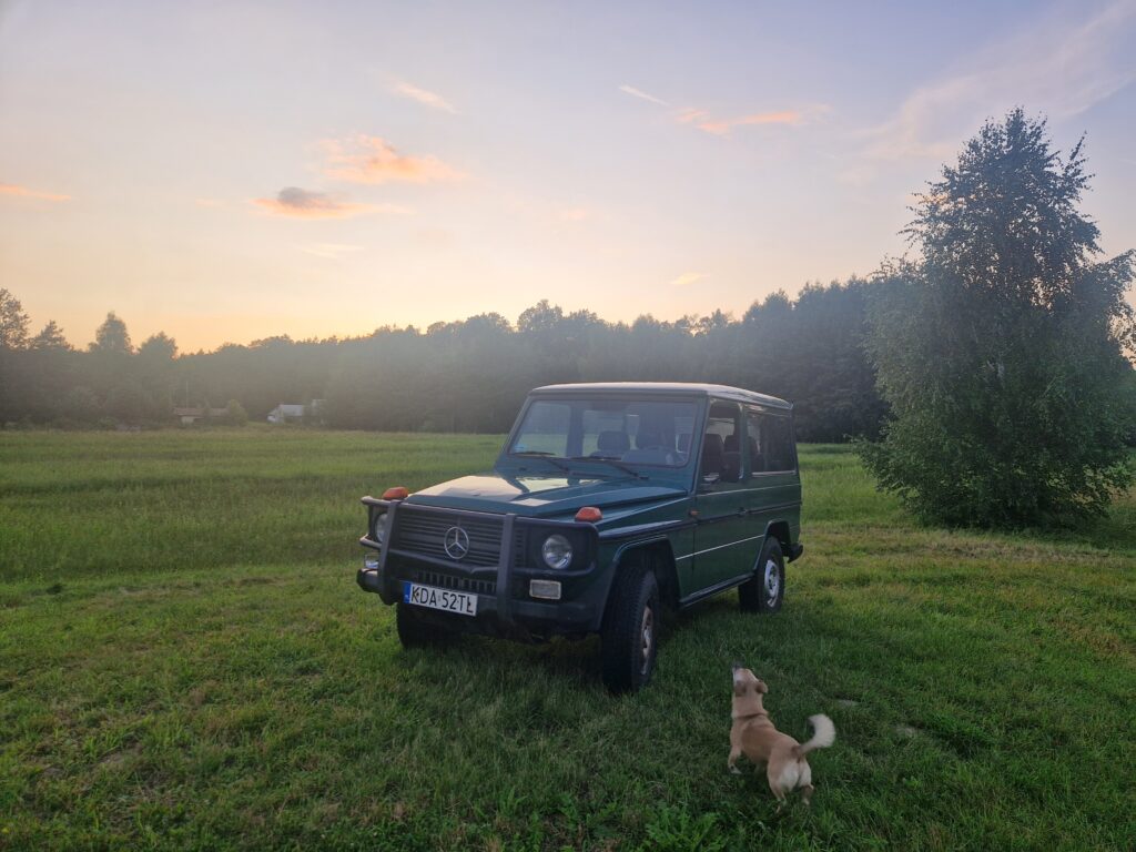 mercedes g wagen with a dog in the meadow. village